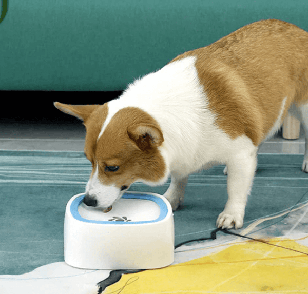 Auslaufsicherer Wassernapf für Hunde