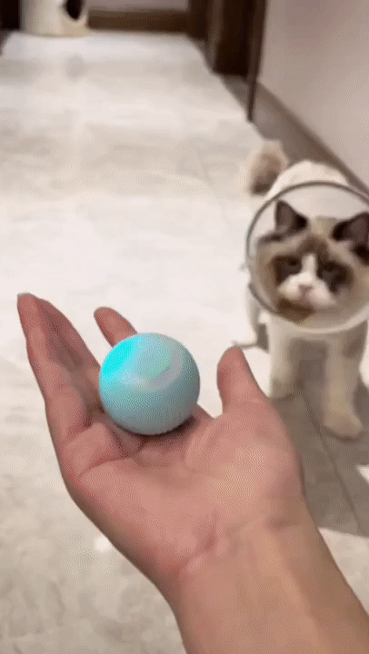 Interaktiver Katzenball